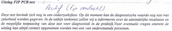 Een experimentele FIP test